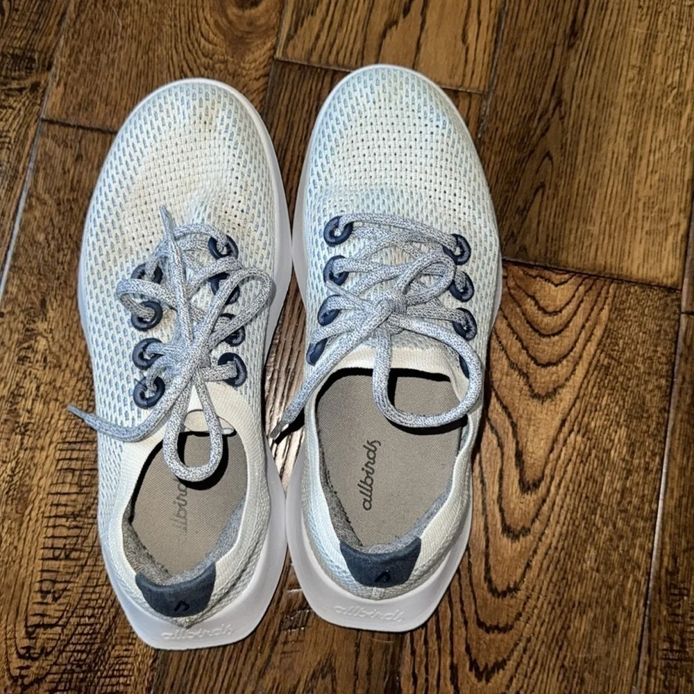 Allbirds True Dasher Wool Rubbing Sneaker Shoes